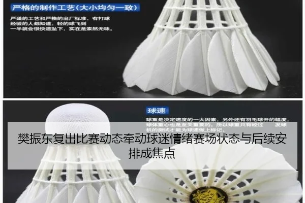 樊振东复出比赛动态牵动球迷情绪赛场状态与后续安排成焦点 | kaiyun